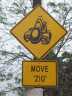 Movezig