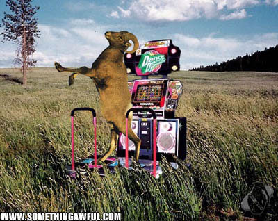 DDR RAM