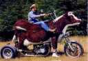 Cowbike