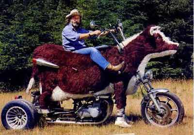 Cowbike