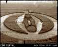 Crop Circle