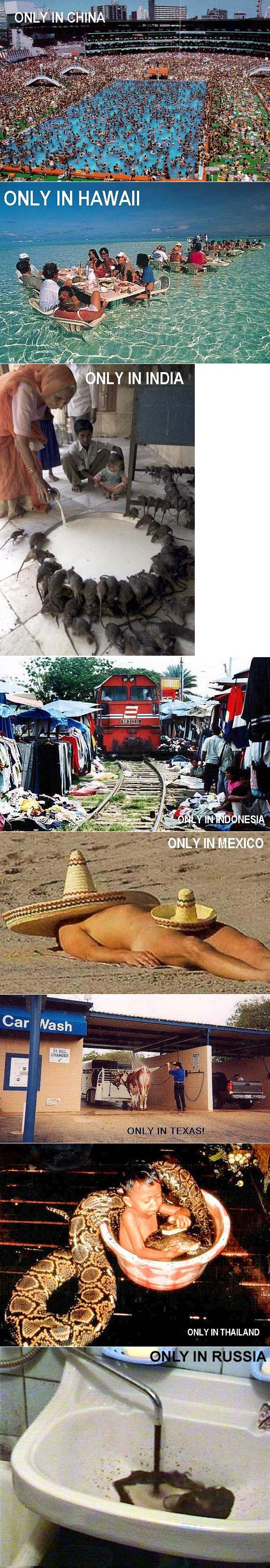 Only in...