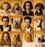 Dogs & their owners