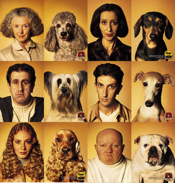 Dogs & their owners
