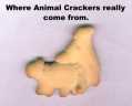Where animal crackers really come from