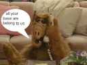 The first AYB image, ever