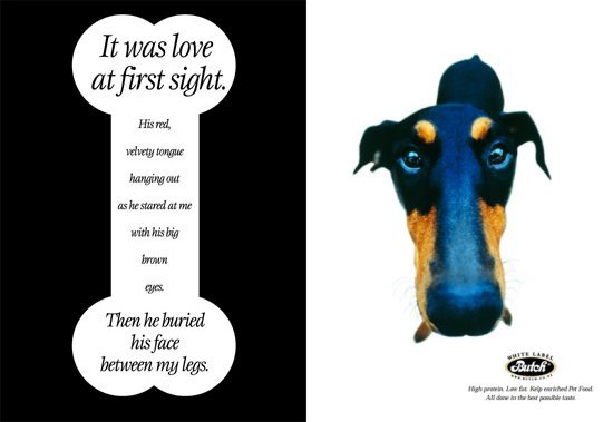 It was love at first sight (Butch dog food, part 2 of 5)
