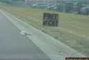 Free cat