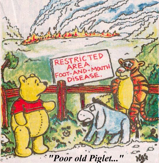 Pooh