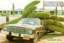 Big cactus