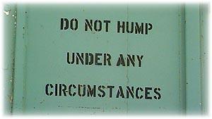 Do not hump under any circumstances