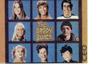 Bradybunch