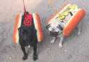 Hotdogs