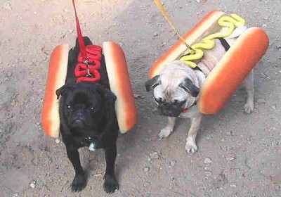 Hotdogs