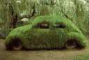 Camo VW