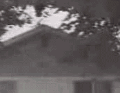 Bear + trampoline