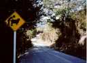Rural roadsign