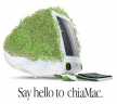 Say hello to chiaMac