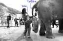 You & Telstra