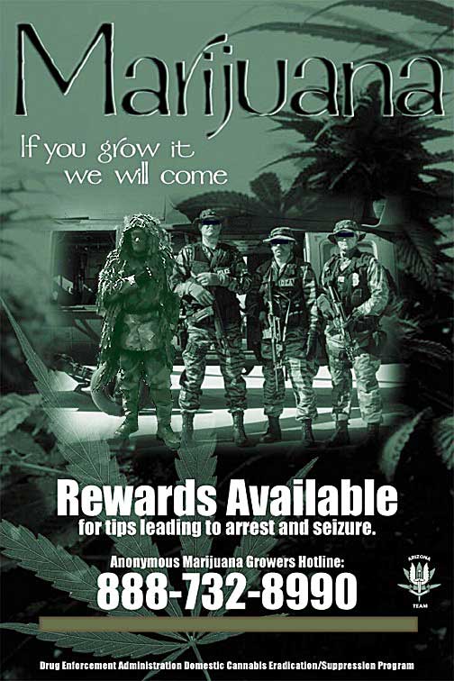 If you grow it, they will come