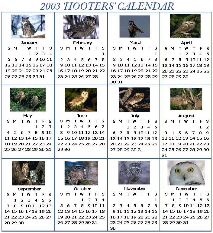2003 Hooters Calendar