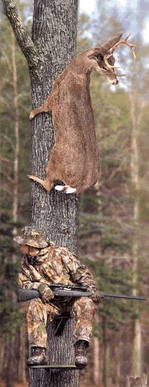 Deer hunter