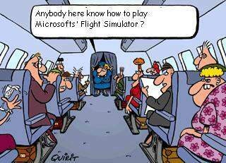 Flightsim
