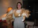 _Big_ cat