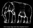 How many legs does this elephant have?