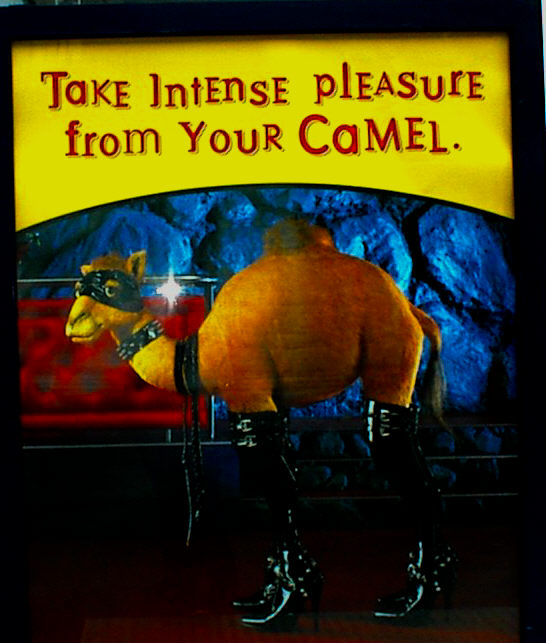 Take intense pleasure from your Camel