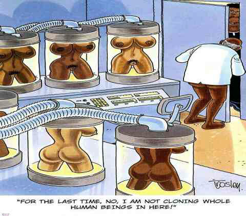 Cloning